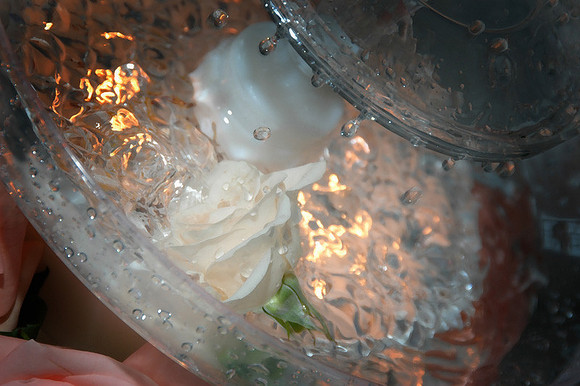 DSC_2120a.jpg