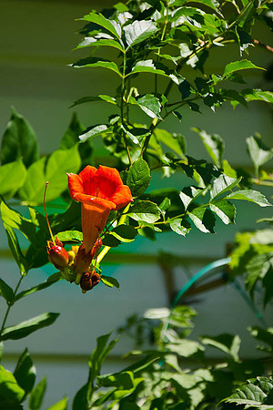 D7K_4242.jpg