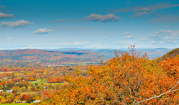DSC_8379.jpg