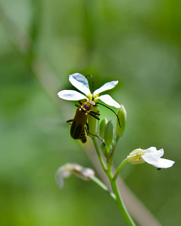 D7K_4199.jpg