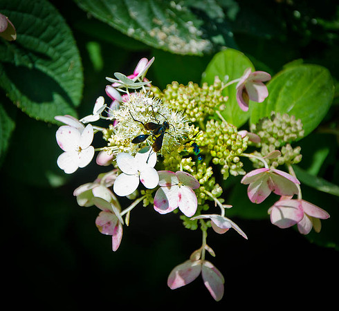 D7K_4222.jpg