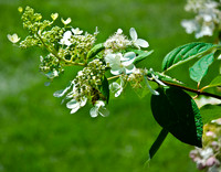 D7K_4220.jpg