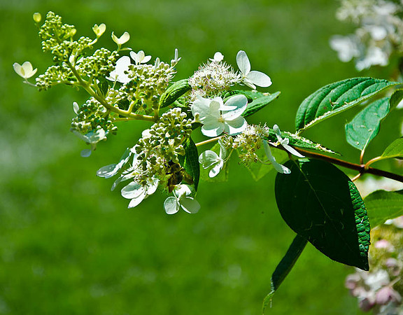 D7K_4220.jpg