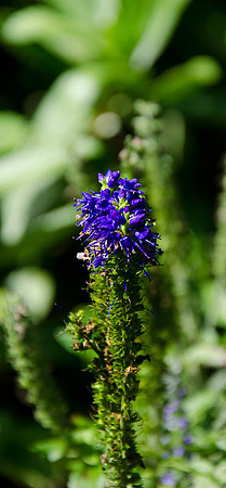D7K_4229.jpg