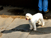 DSC_8407.jpg