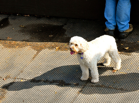 DSC_8407.jpg