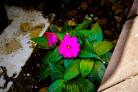 D7K_4193.jpg