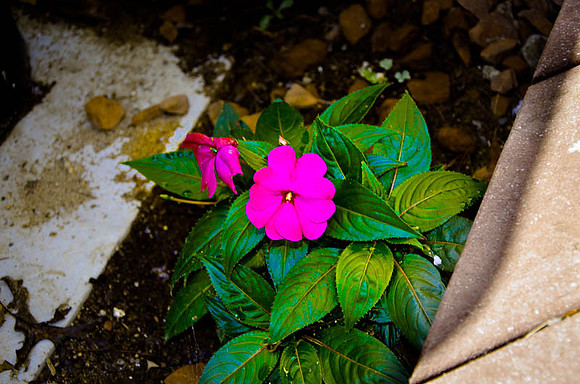 D7K_4193.jpg