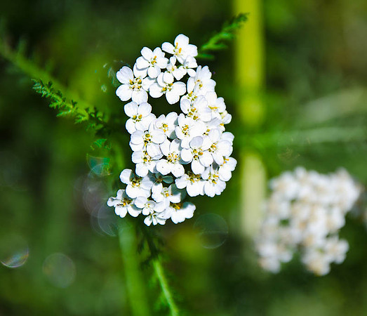 D7K_4235.jpg