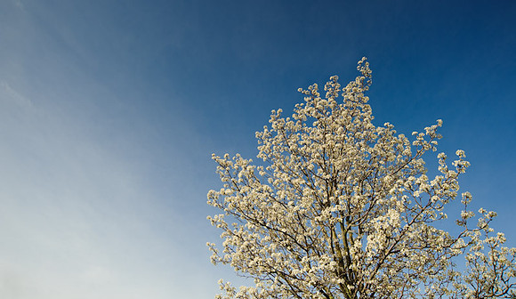 700_9365.jpg