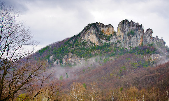700_9526.jpg