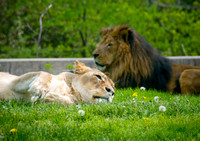 DSC_0638.jpg