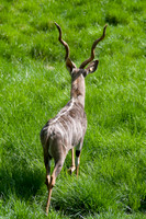 DSC_0623.jpg