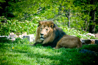 DSC_0634.jpg