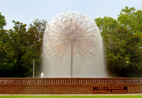DSC_0882a.jpg
