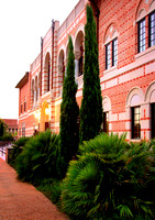 DSC_1005a.jpg