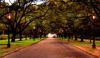 DSC_0977a.jpg
