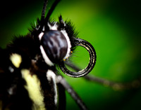 D7K_4189.jpg