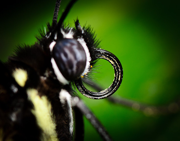 D7K_4189.jpg