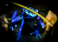 D7K_4164.jpg