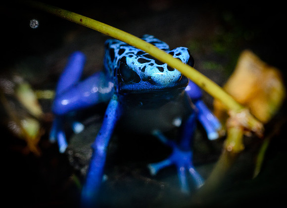 D7K_4164.jpg