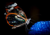 D7K_4175.jpg