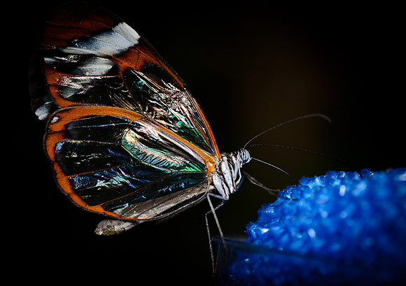 D7K_4175.jpg