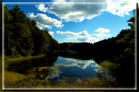 DSC_0420 copy.jpg