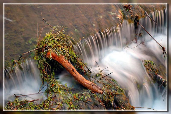 Water2.jpg