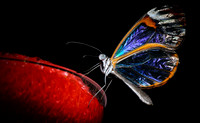 D7K_4174.jpg