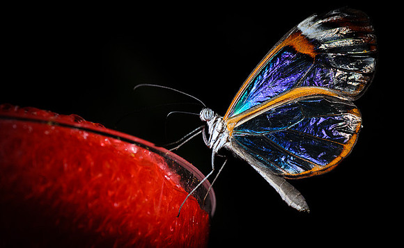 D7K_4174.jpg