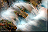 Nature 2005