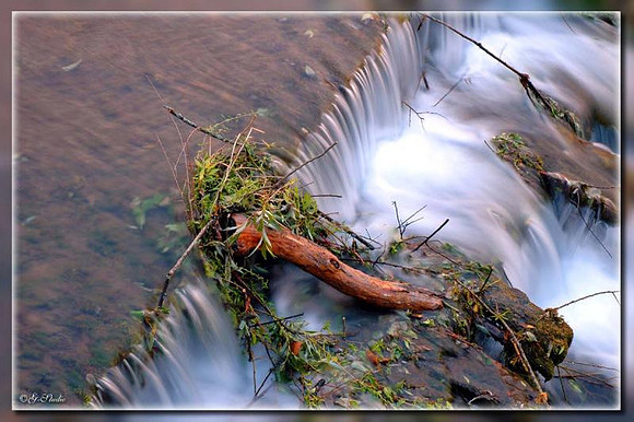 Water4.jpg