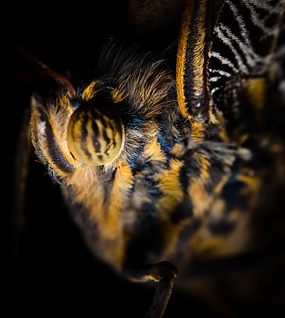 D7K_4183.jpg