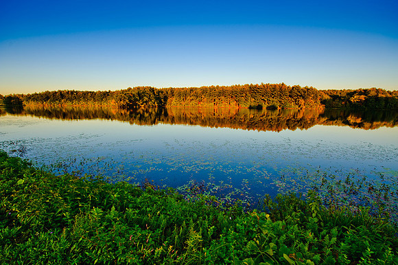 700_8887.jpg