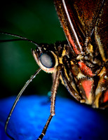 D7K_4188.jpg
