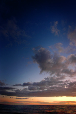 DSC_0128p.jpg