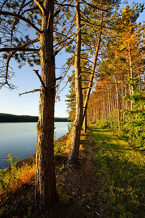 700_8883.jpg