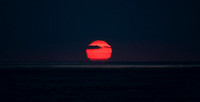 DSC_7847.jpg