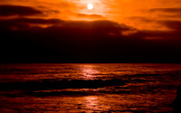 DSC_7772.jpg