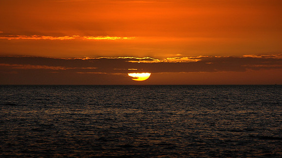 DSC_0045p.jpg