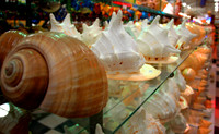 DSC_0596.jpg