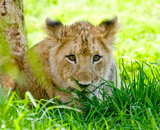 DSC_7587.jpg