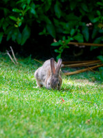 DSC_8130.jpg