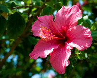 DSC_7889.jpg