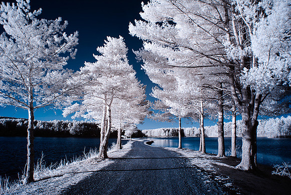 DSC_9619-Edit.jpg
