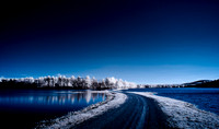 DSC_9504-Edit.jpg