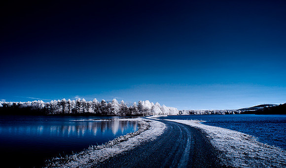 DSC_9504-Edit.jpg