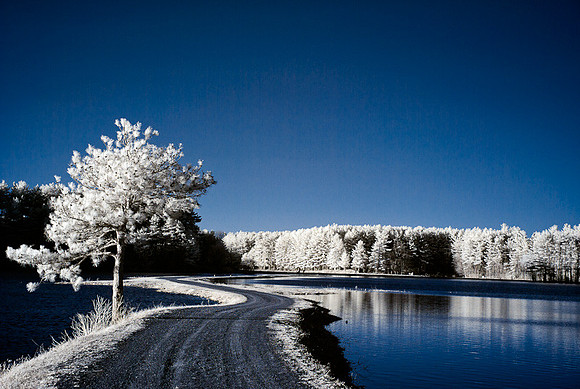 DSC_9629-Edit.jpg