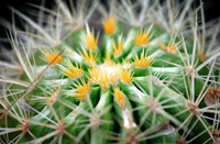 KG2_4953p.jpg